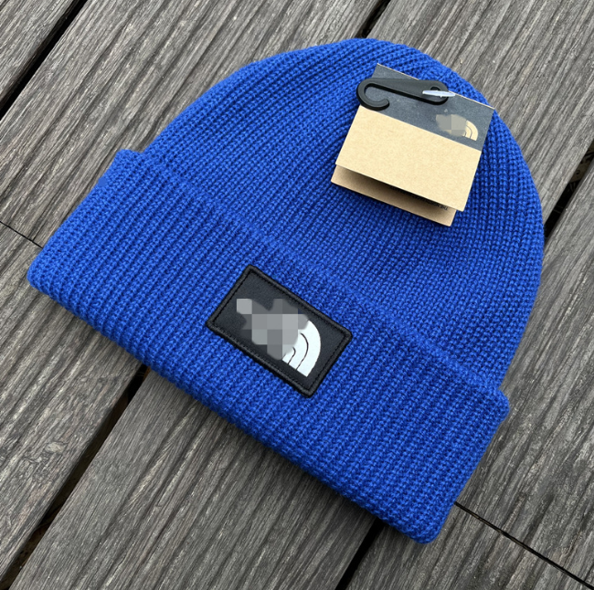 TNF Beanies with Tags