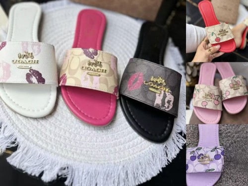 Fashion Slides with Box (wait 15 days) #COA