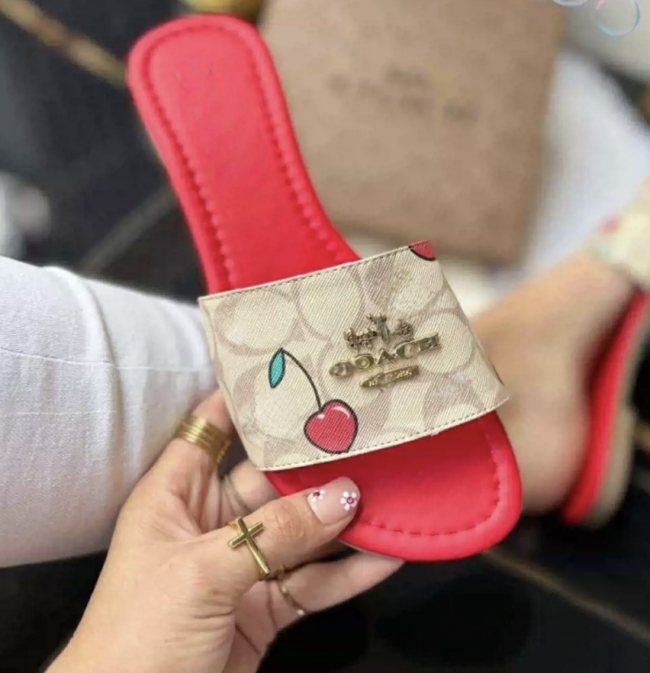 Fashion Slides with Box (wait 15 days) #COA