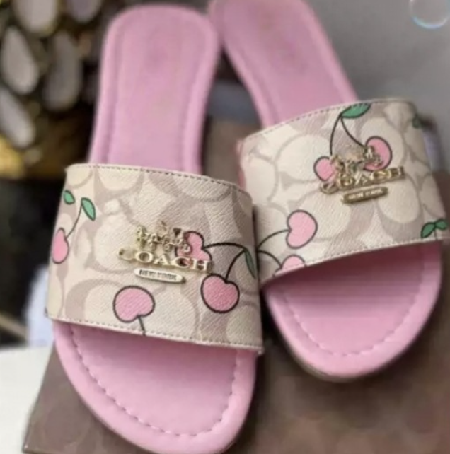 Fashion Slides with Box (wait 15 days) #COA