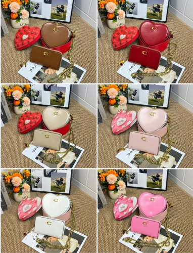 Fashion Valentines Heart Bag Set #COA