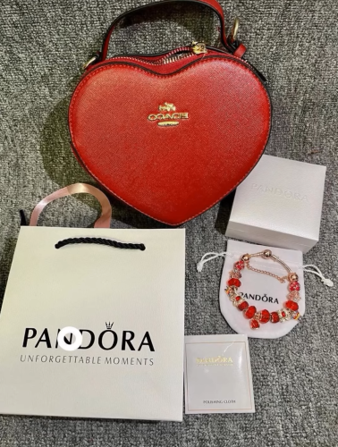Valentines Bag with Bracelet Set #coa