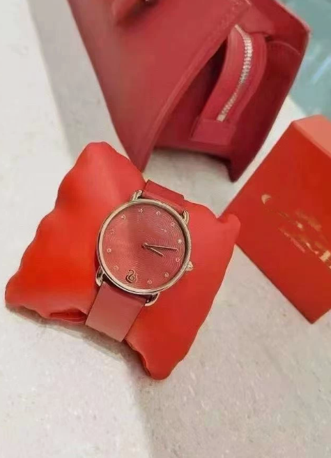  Fashion Watch with Box