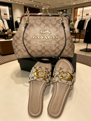  Fashion Slides with Bag Set #COA