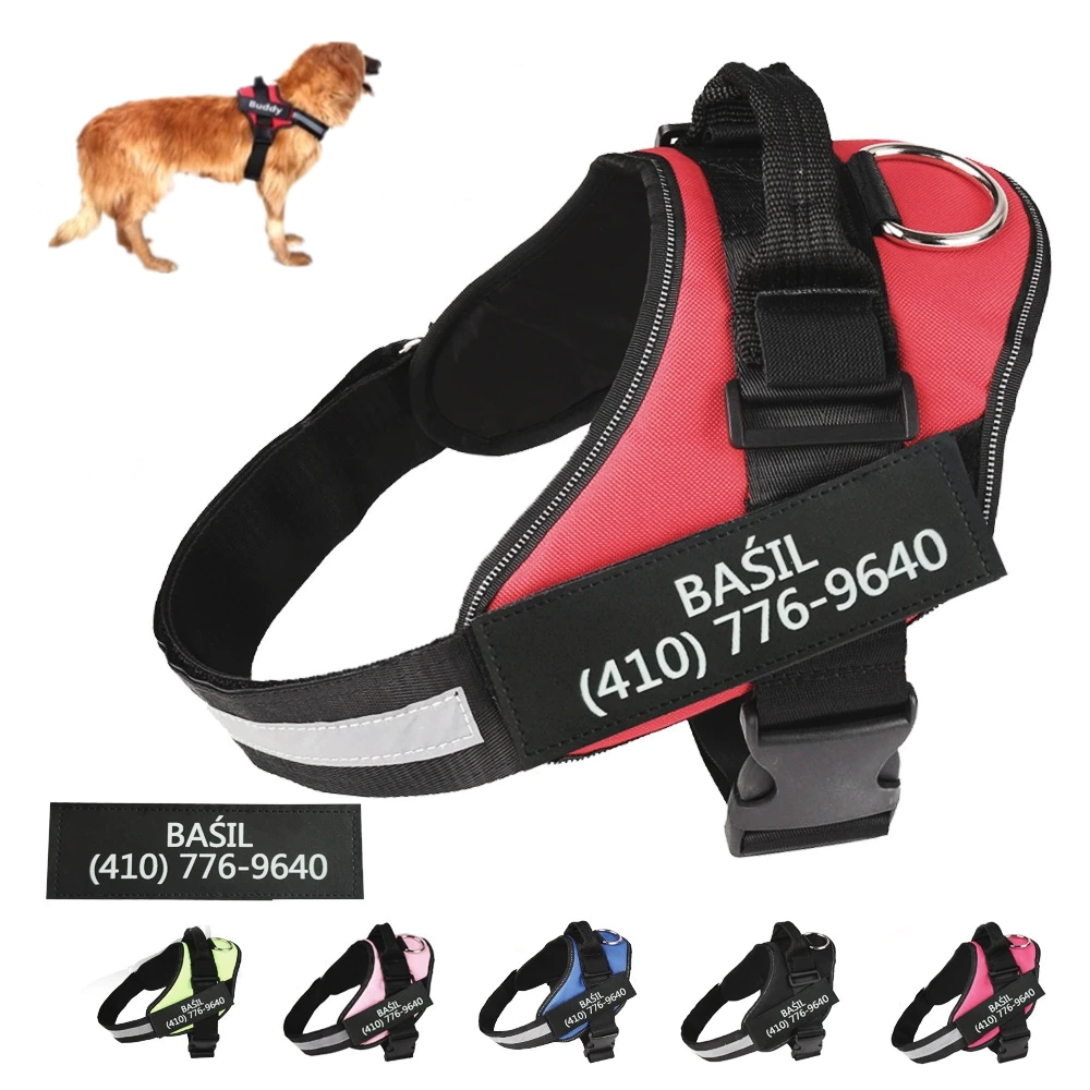monogrammed dog harness