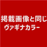 True Idols フルシリコン製 天使もえ監修ラブドール 158cm Dカップ