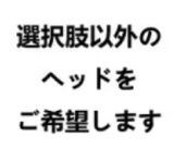 Real Girl (A工場製)ラブドール 168cm普通乳 R33ヘッド ボディー及びヘッド材質など選択可能 カスタマイズ可