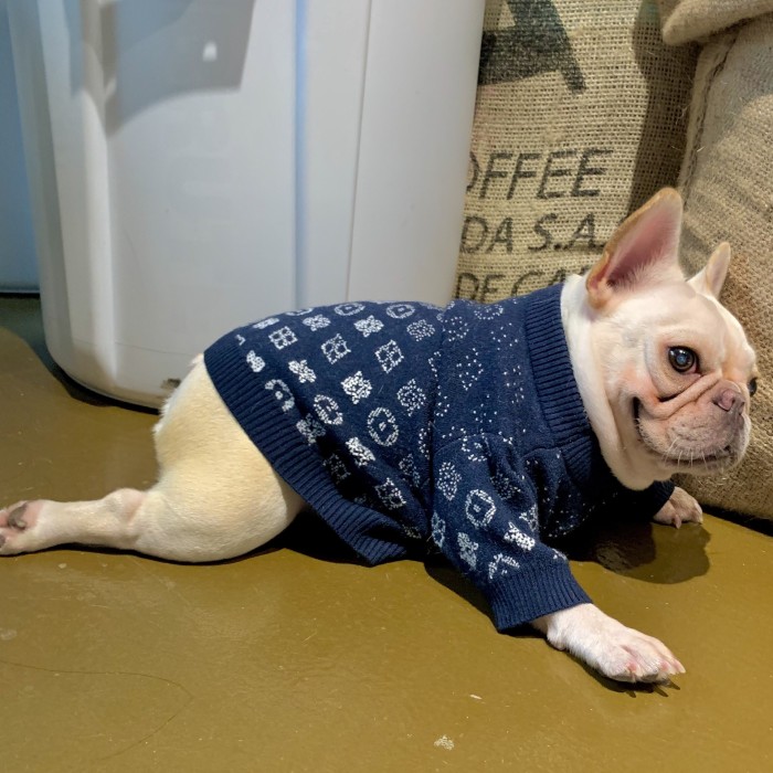 Cool Dog Wool Sweater