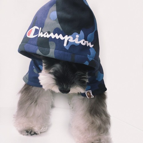 Champion Dog Hoodie Jacket