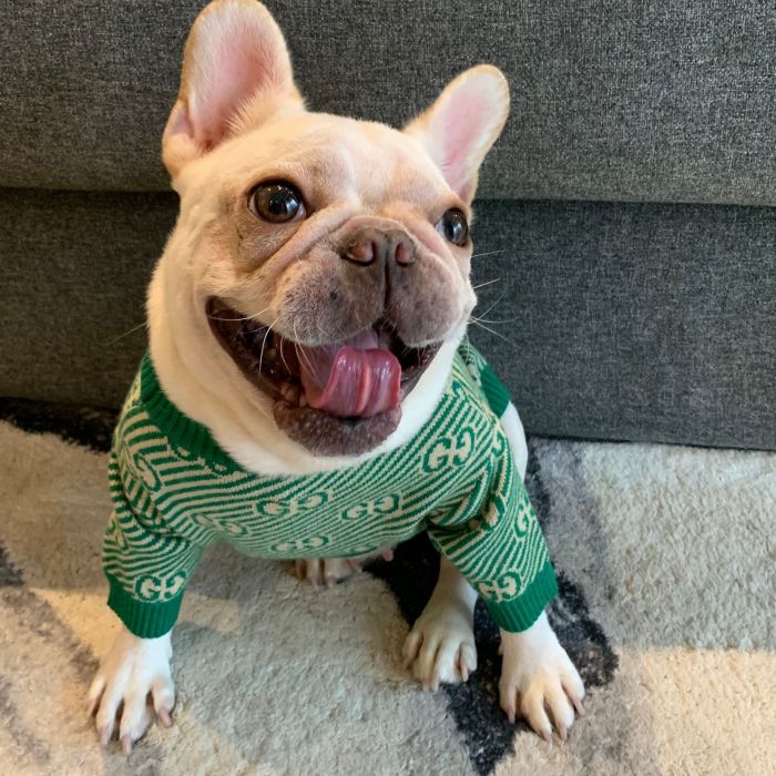 Gucci Dog Wool Sweater Green