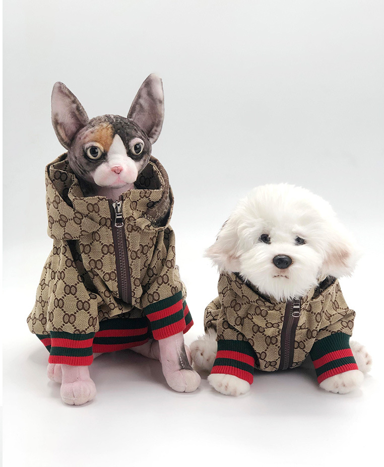 gucci cat clothes