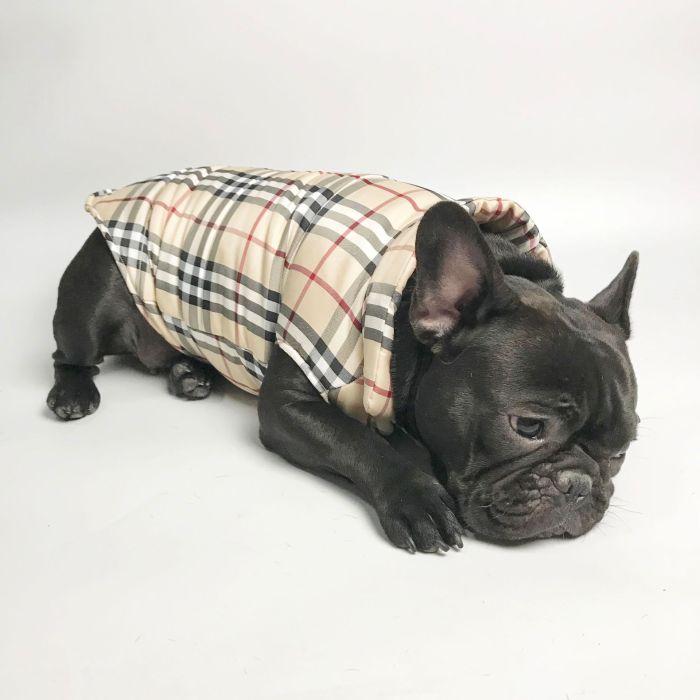 Bur berry Dog Cotton Vest Warm Thick