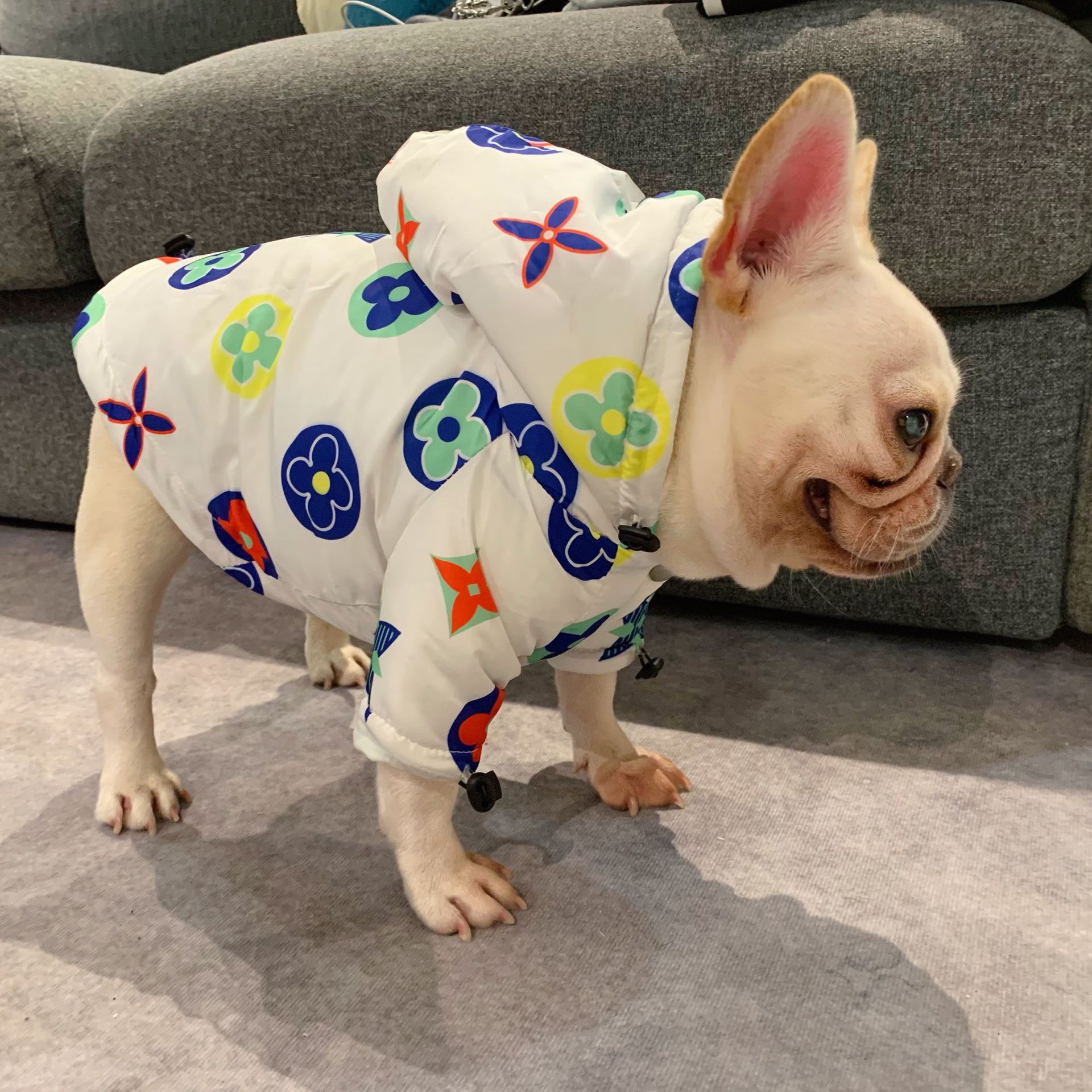 lv dog jacket