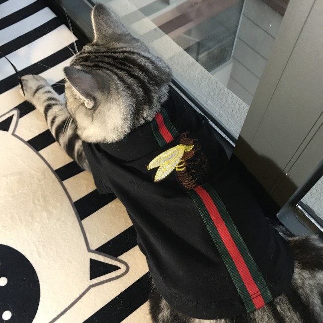 Gucci Bee Dog & Cat Sweatshirt