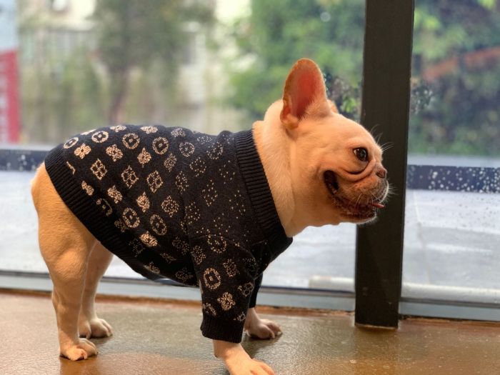 Cool Dog Wool Sweater