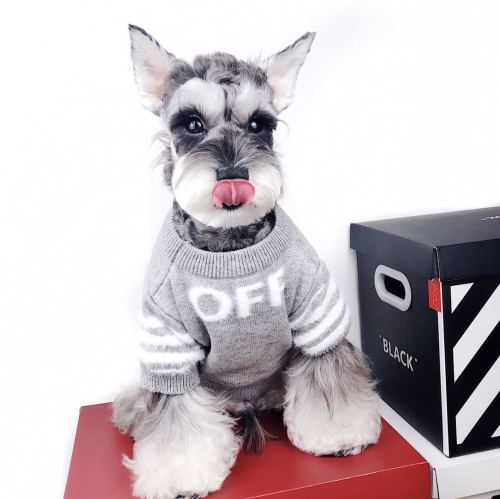 OFF-WHITE Dog Cotton wool sweater