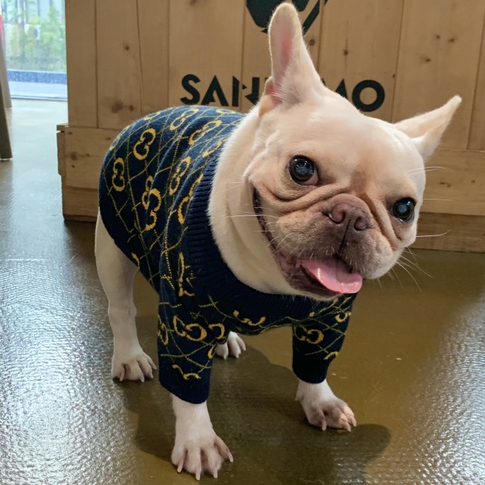 Gucci Dog Hoodie Wool Luxury Sweater