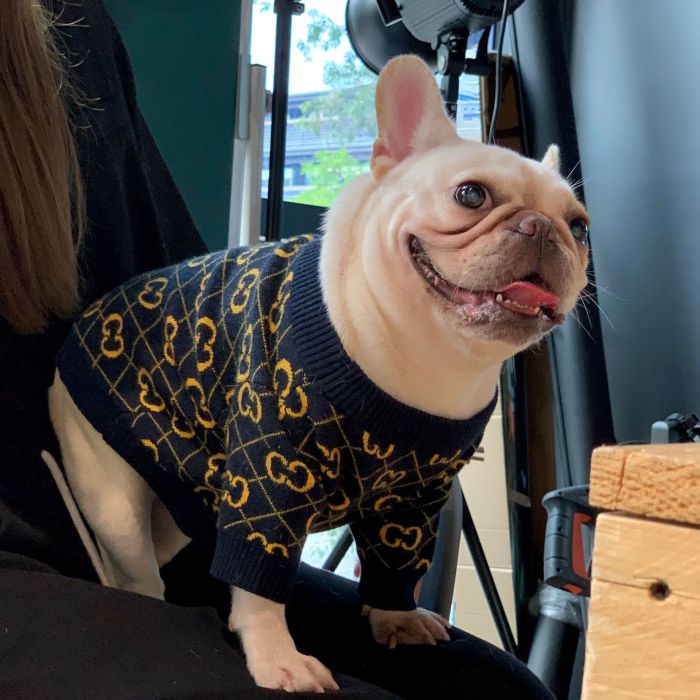 Gucci Dog Hoodie Wool Luxury Sweater
