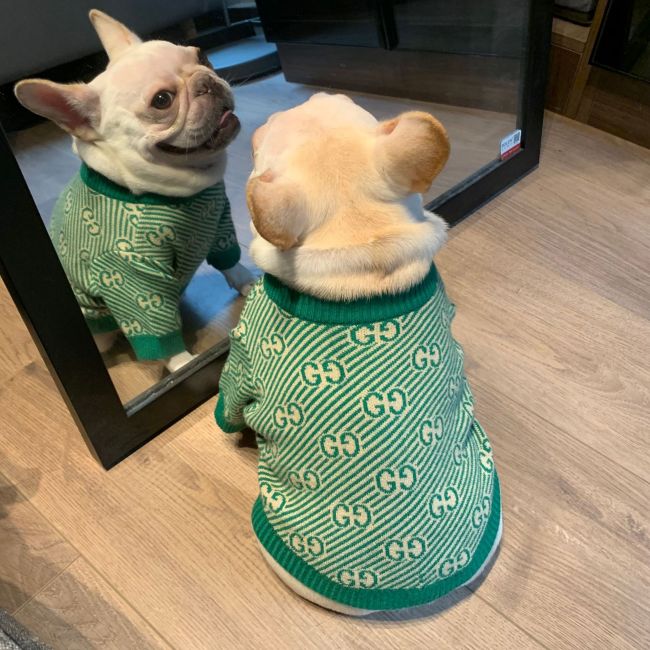 Gucci Dog Wool Sweater Green