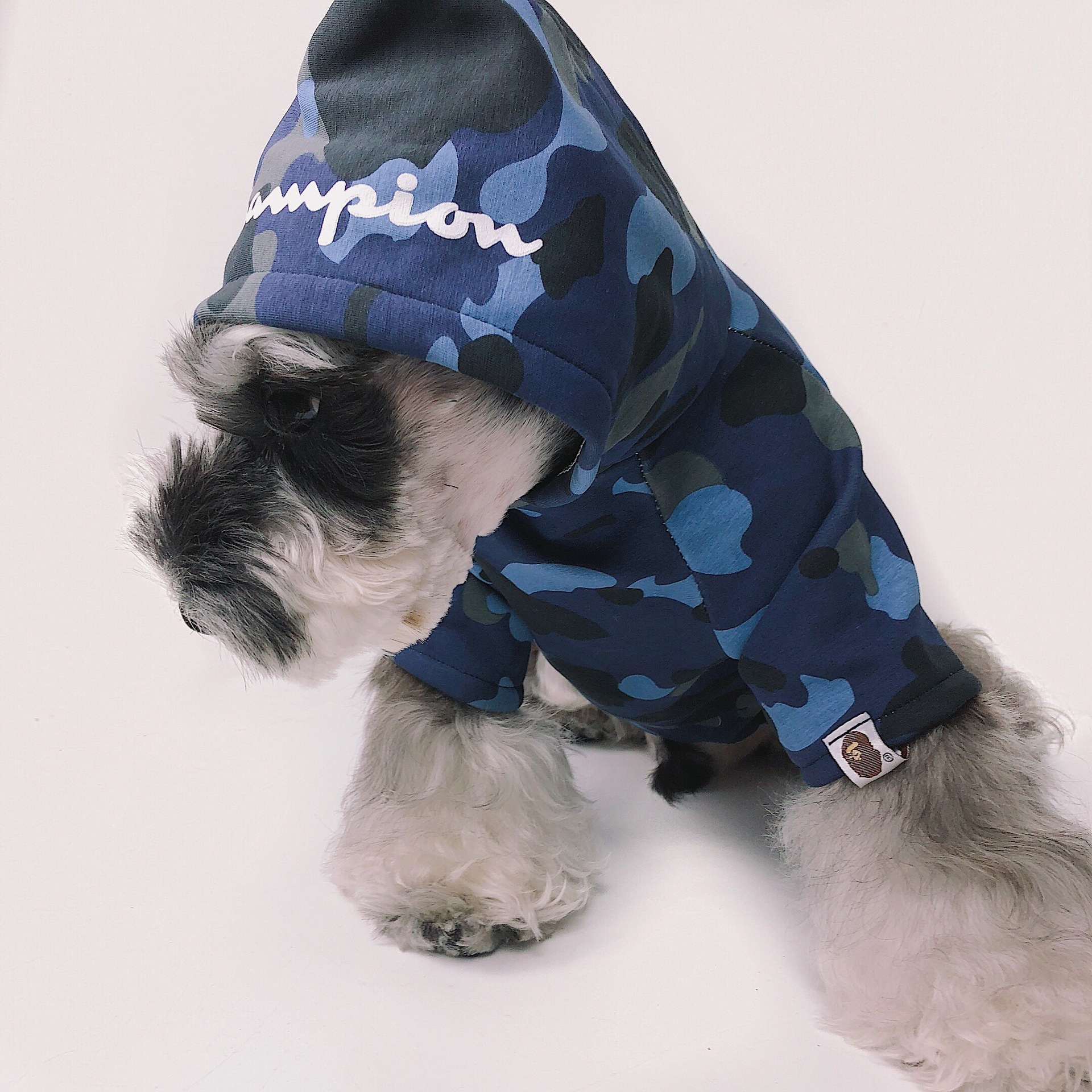 champion dog clothes