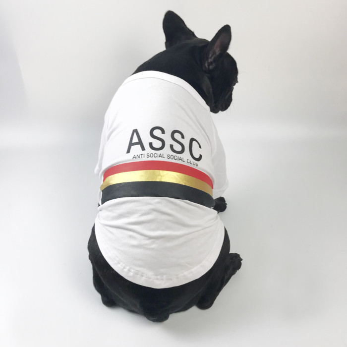 Dog ASSC White Sweatshirt