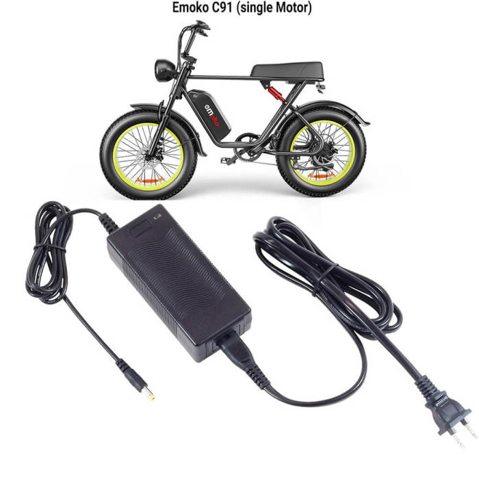 Electric Bike / Scooter Charger