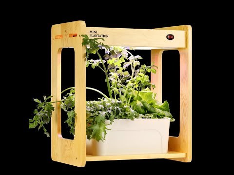 20W mini portable indoor desk plant Aquaponic System hydroponic growing systems plant grow light kit for home office