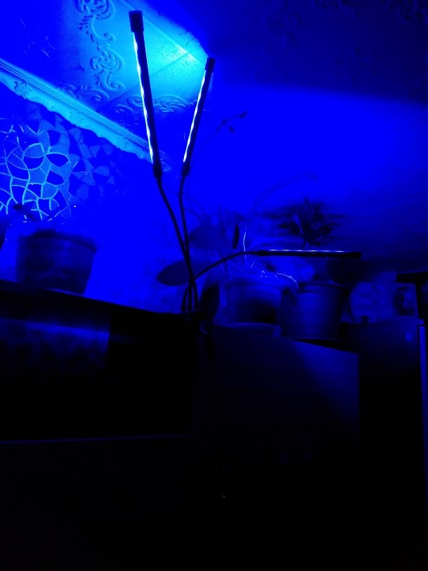 LED Grow Light USB PhytoLamp Full Spectrum 5V Phyto Lamp 1-4 Heads Plant Light for Home Plants Flower Seeds Indoor Grow Box