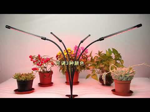 LED Grow Light USB PhytoLamp Full Spectrum 5V Phyto Lamp 1-4 Heads Plant Light for Home Plants Flower Seeds Indoor Grow Box