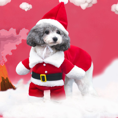 Fall and Winter Dog Santa Claus Transforms into A Standing Outfit CMS-099
