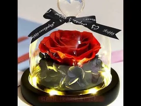 Immortal Flowers for Christmas Valentine's Day Gift Glass Covered Rose CMS-188