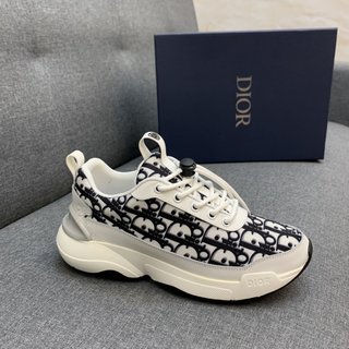 dior gray b24