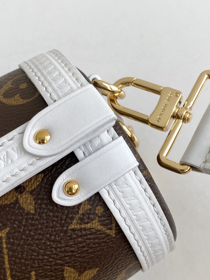 Handbag Louis Vuitton M81485 size 20x10x10cm