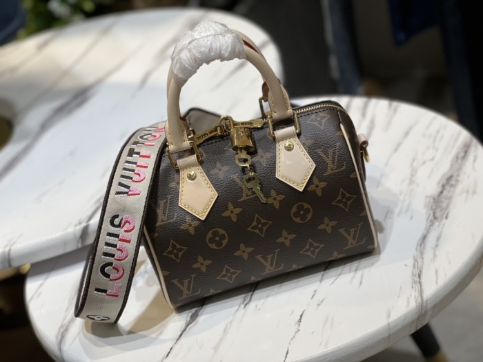 Handbag  Louis Vuitton  M45957  size  20x 13.5x 11.5 cm