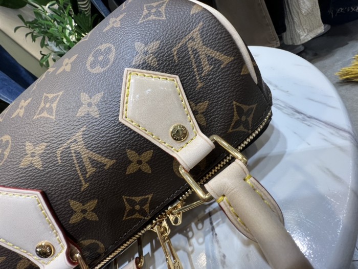 Handbag  Louis Vuitton  M45957  size  20x 13.5x 11.5 cm