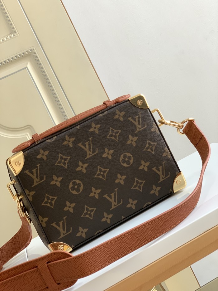Handbag    Louis Vuitton  M45785  size  21.5 x 15 x 7 cm