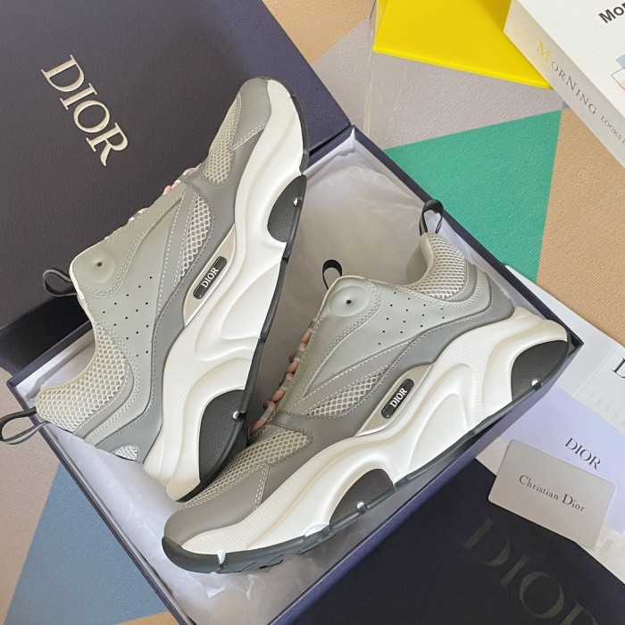 Dior B22 Grey White