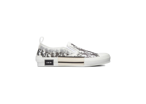 Dior And Shawn B23 Slip On Logo Oblique