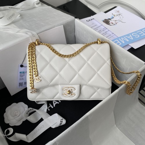 Handbag  Chanel  AS1793 size 22 cm