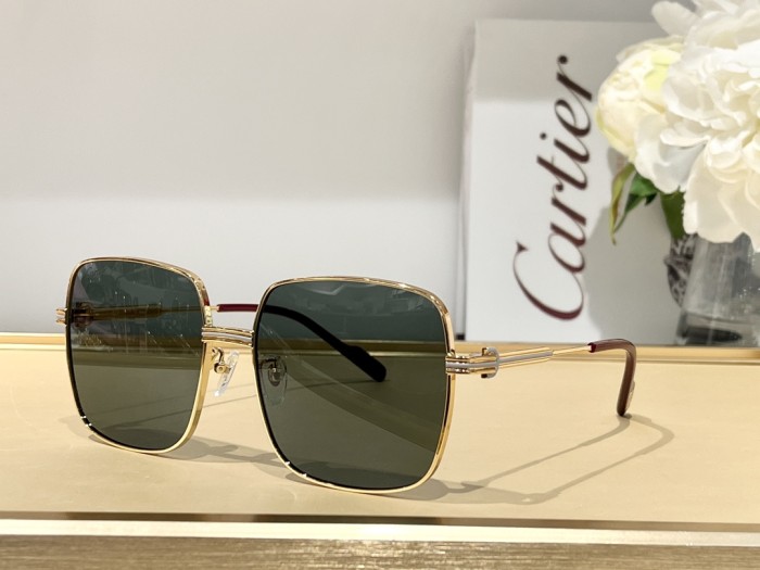Sunglasses Cartier CT0304 SIZE：59 17-145