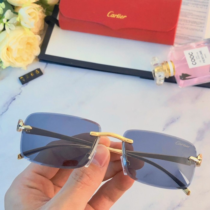 Sunglasses Cartier sunglasses