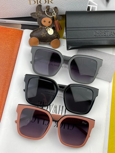 sunglasses Dior CD1611