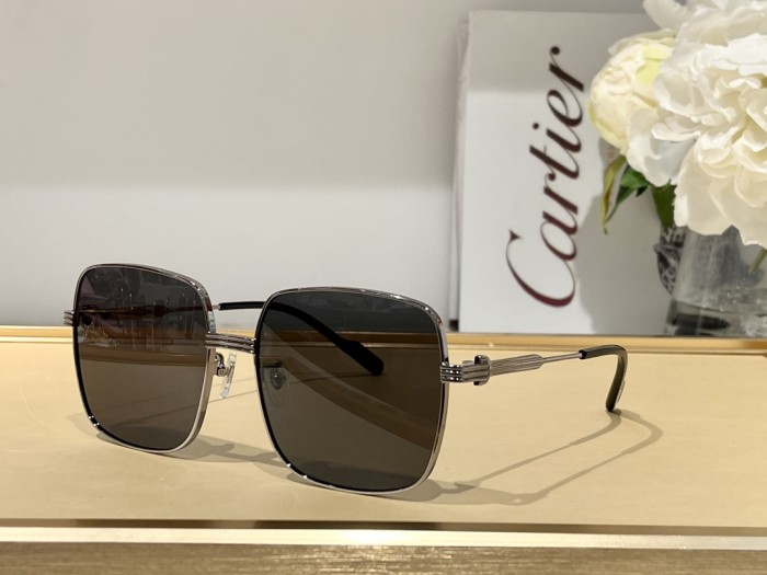 Sunglasses Cartier CT0304 SIZE：59 17-145
