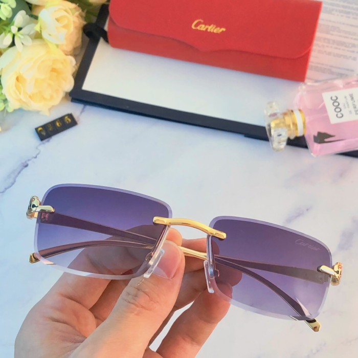 Sunglasses Cartier sunglasses