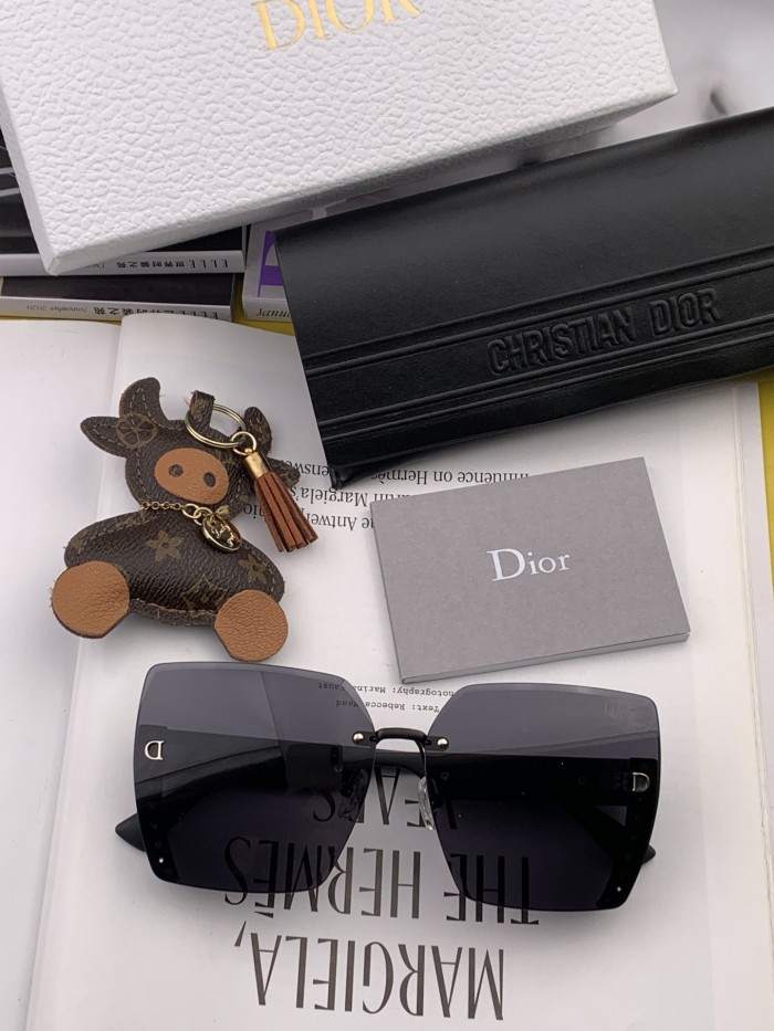 sunglasses Dior CD0291