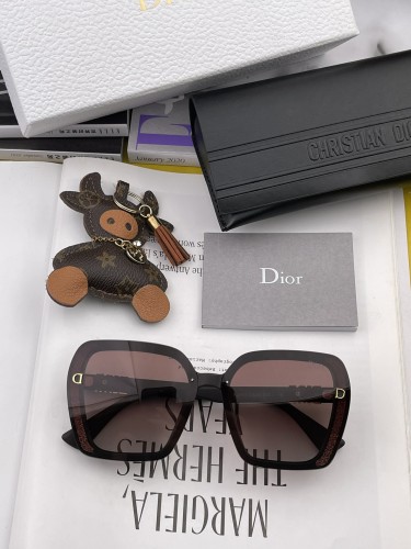 sunglasses Dior CD3290