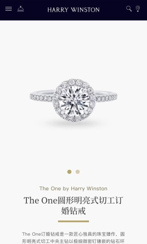 Jewelry Harry Winston 23