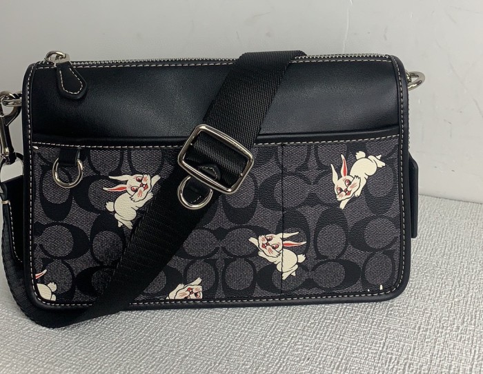 Handbags Coach CG300 size:24.5*16*5