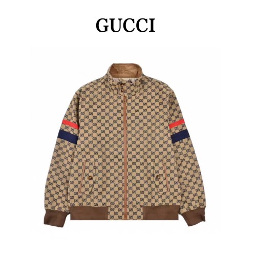 Clothes Gucci 563