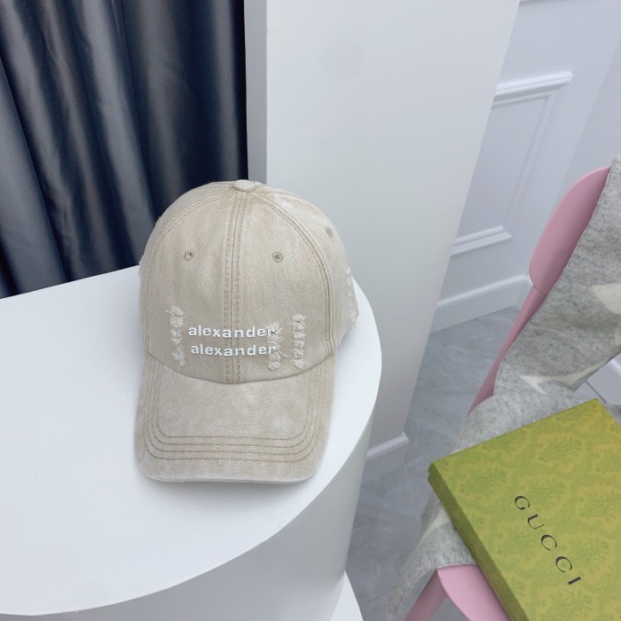 Streetwear Hat Alexander wang 328886